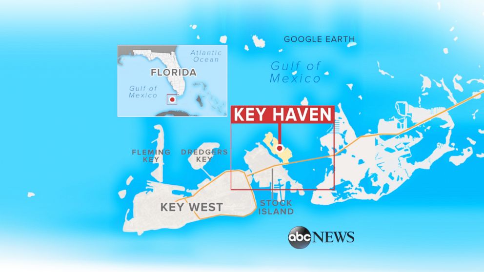 PHOTO: Key Haven is debating an experimental test of genetically modified mosquitos.